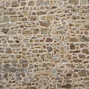 Wall Texture at Rs 35/square feet