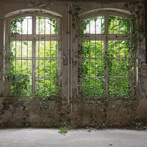 Photo wallpaper window green grey Old Window Bedroom wallpaper concrete optics Photo wallpaper Nature Windows with concrete optics image 2