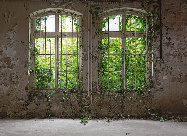 Photo wallpaper window green grey Old Window Bedroom wallpaper concrete optics Photo wallpaper Nature Windows with concrete optics image 2