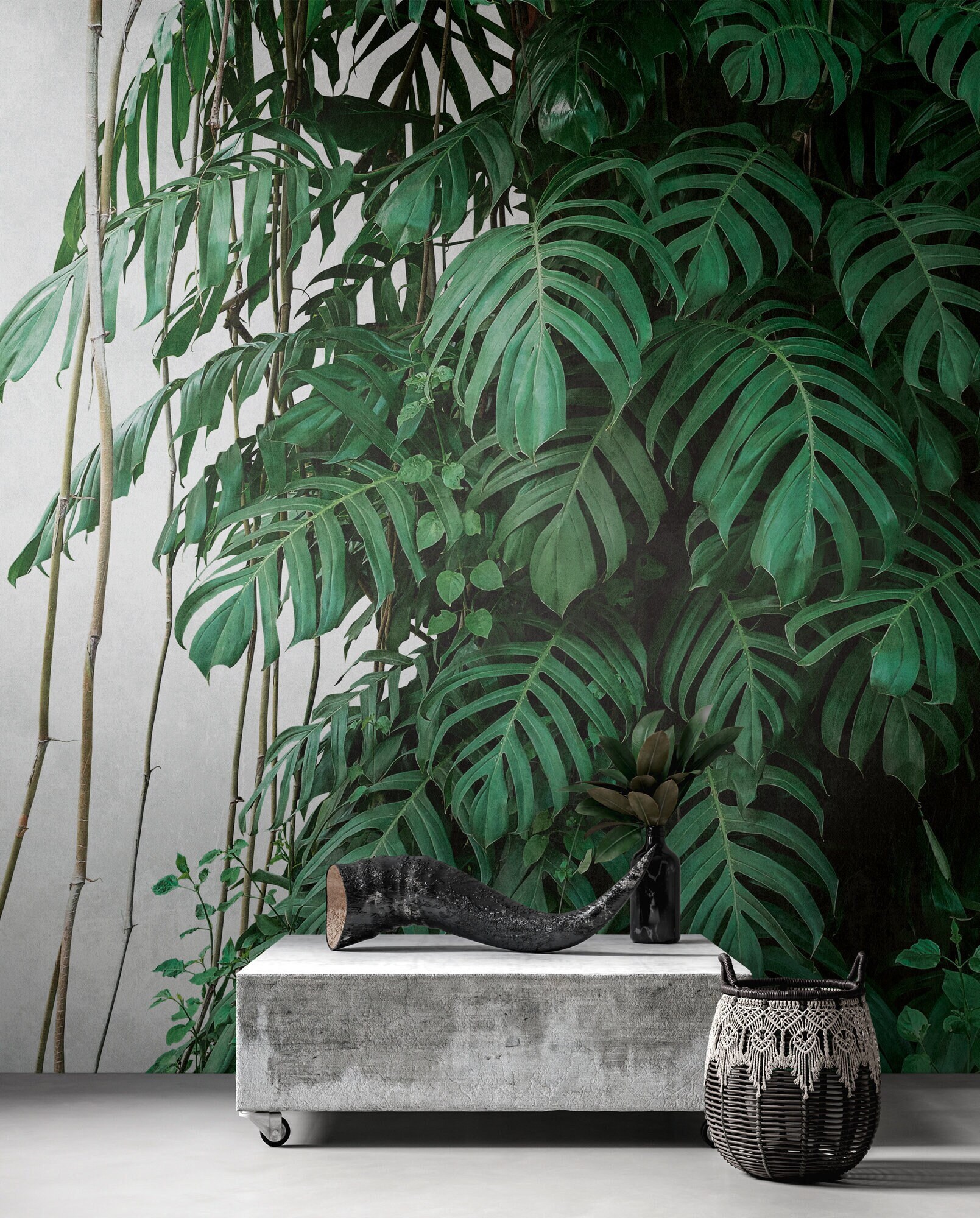 Monstera tapete