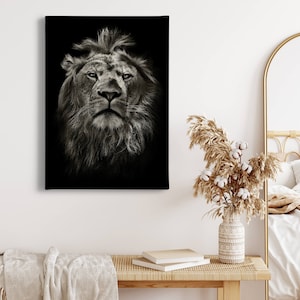 Canvas Print Lion | black background | gray | Strong lion | canvas on stretcher | Mural | Deco image | 50cm x 70cm