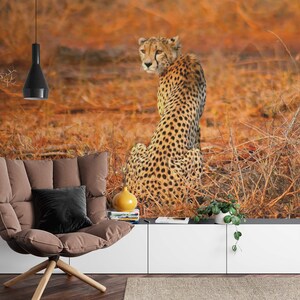 Photo wallpaper Leopard | Wallpaper Safari Yellow Orange | Leopard Safari | Animals | Nature | Bedroom and living room wallpaper | 3.84 x 2.60 m