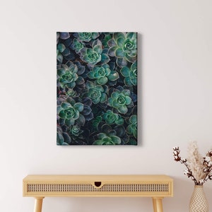 Canvas Painting Succulents | green | Floral | Succulents | Canvas on stretcher frame | Mural | Decorative picture | 50 cm x 70 cm