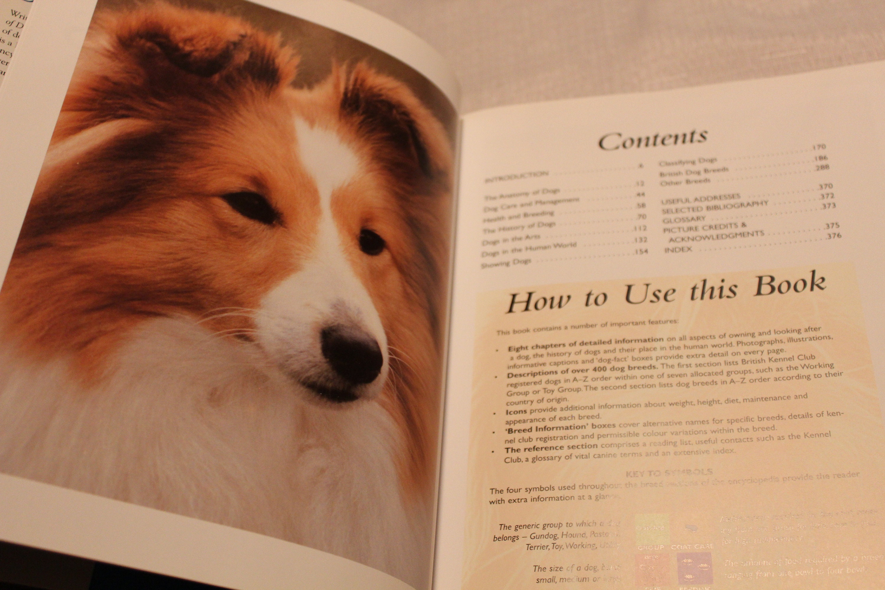 The Encyclopedia of Dog Breeds: Cunliffe, Juliette