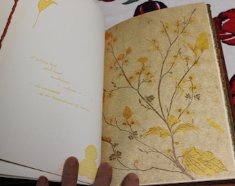 Beyond Time  / Gwen Frostic / 1971 Hardcover Presscraft / Nature, Illustrations, Poetry, Art, Gift Book