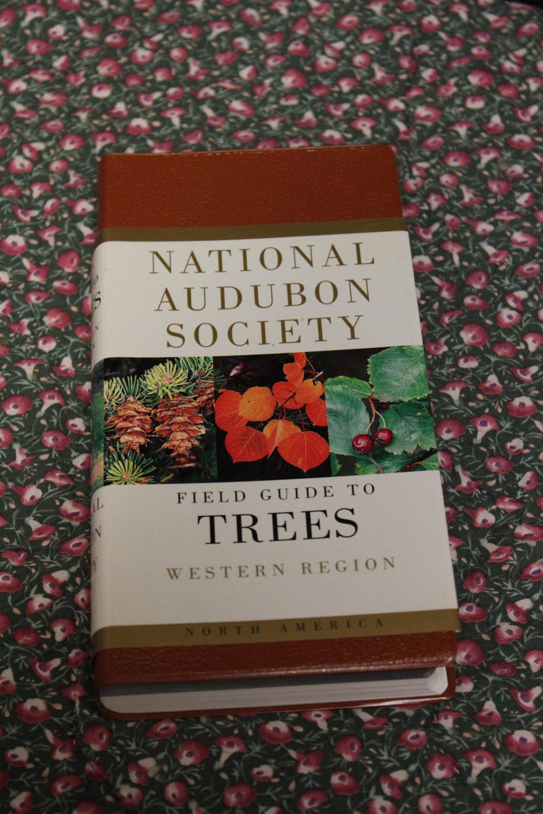 Field Guide to Trees Western Region, North America, National