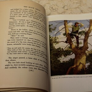 May include: A vintage book open to a page with text about a man in a hollow, and an illustration of a man in a green shirt climbing a tree. The text reads "Down in the hollow, where no wind blew, warm and still, and Matchan, laying one hand on his arm, held up a warning finger. "Hist!" he said."