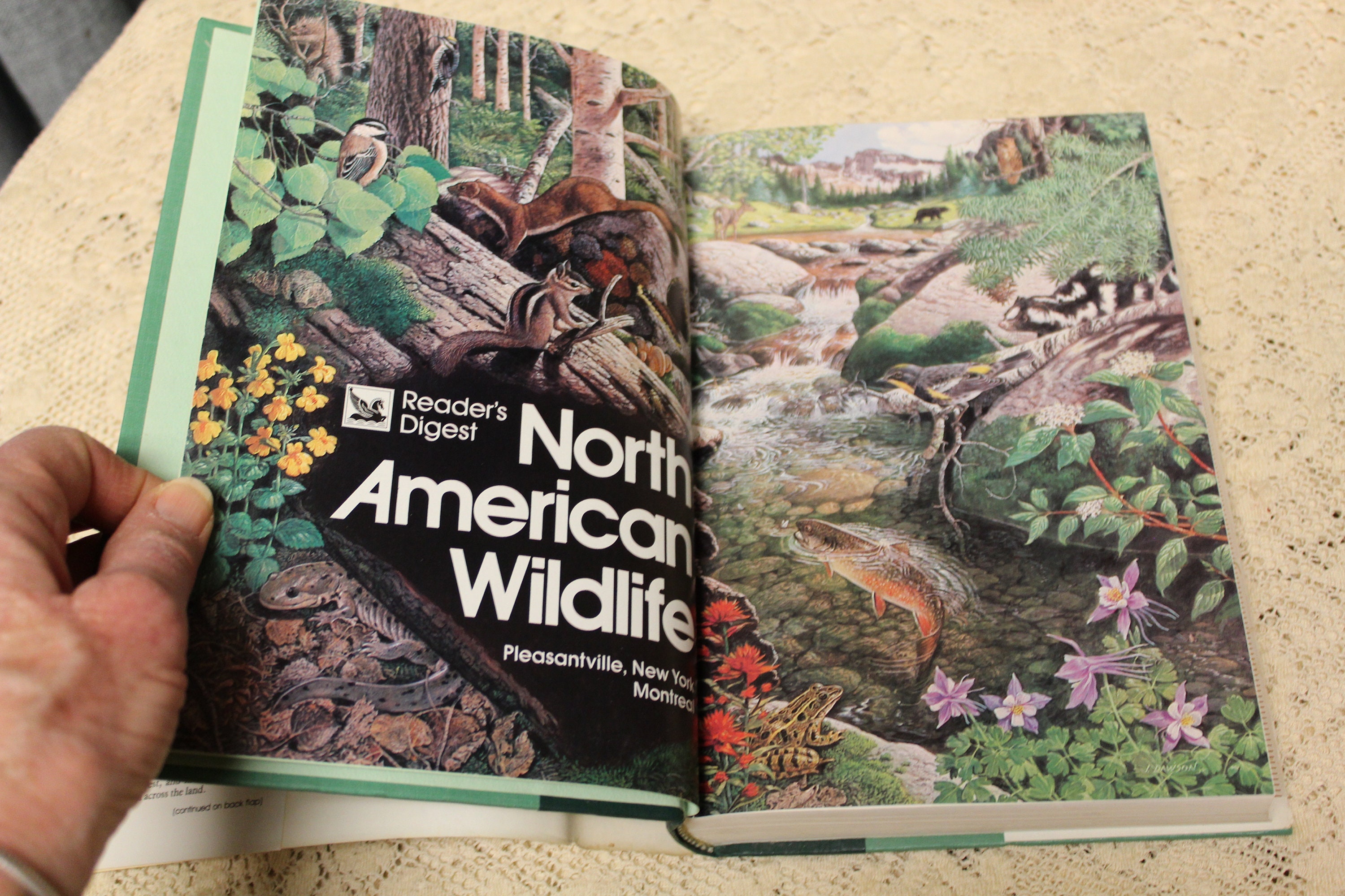 Reader's Digest North American Wildlife / Illustrated Guide to 2,000 Plants  and Animals / 1986 Hardcover Book / Nature, Outdoors, Botany 
