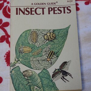 57 Years Old!, Insect Pests, A Golden Guide /george Fichter /1966 ...