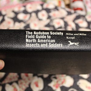 Field Guide to North American Insects & Spiders / National Audubon Society / Lorus and Margery Milne / 1994 Guide / Nature, Science