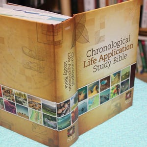 Study Bible, Chronological Life Application /New Life Translation Hard Copy Book / Religion