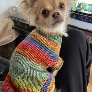 Abrigo para perro Aran colorido, hecho a mano, en varios colores y tamaños, además de sombreros.
