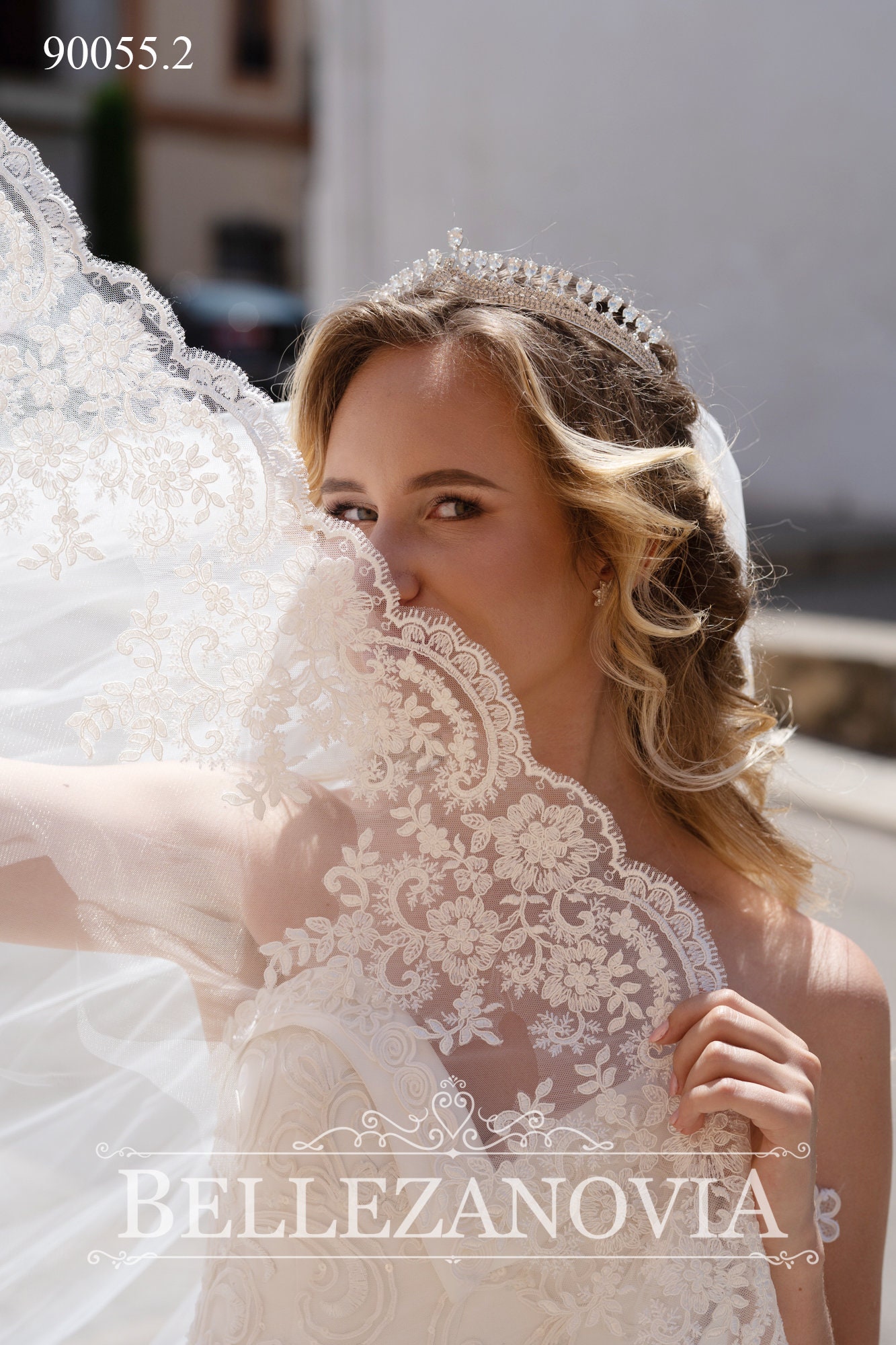 Lace Long Veil/royal Wedding Veil/cathedral Bridal Veil/one | Etsy