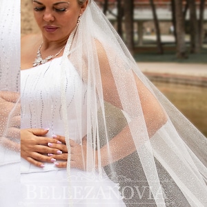 Fingertip glitter wedding veil with Beaded, Glitter Bridal Veil, Cathedral veil with glitter, 1 tier beaded veil Ivory bridal sparkle veil