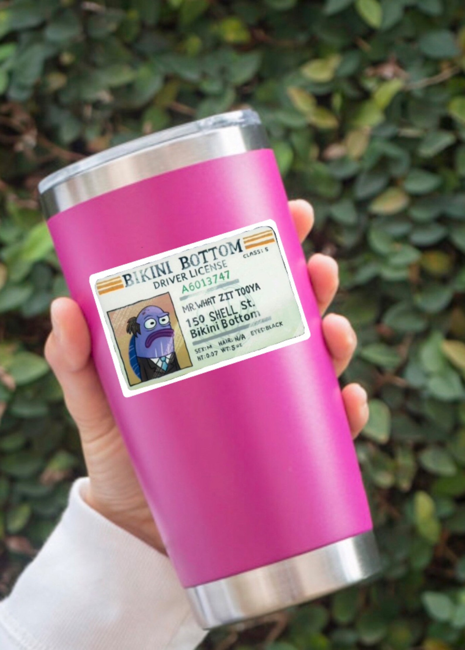 Spongebob mr. What Zit Tooya License Sticker Etsy