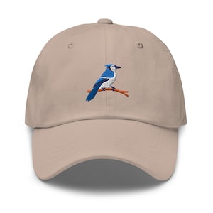 Blue Jay Five Embroidered Hat, Blue Jay Hat, Basefall Fan Gift Nature Wildlife Gift