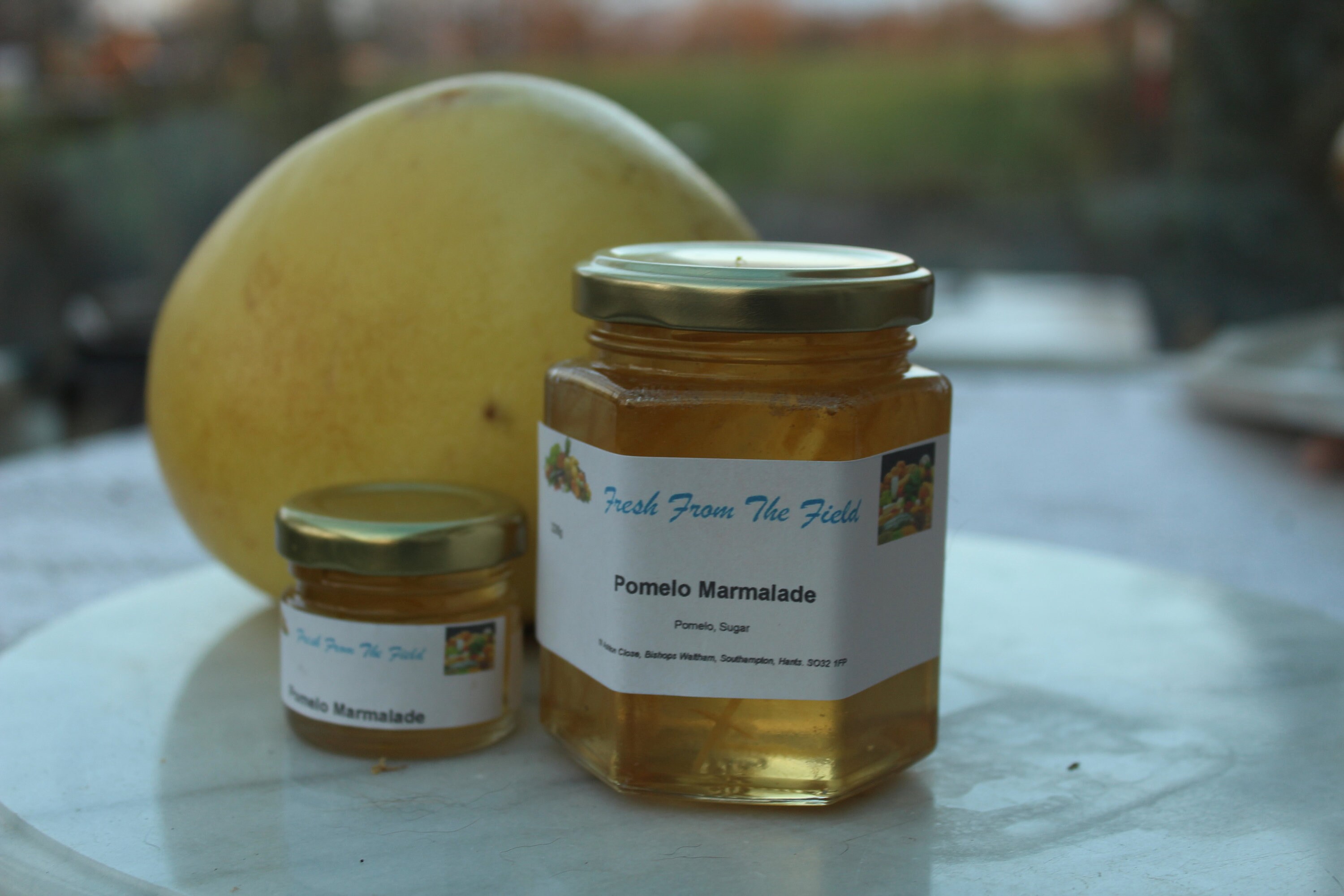 Pomelo Marmalade Etsy