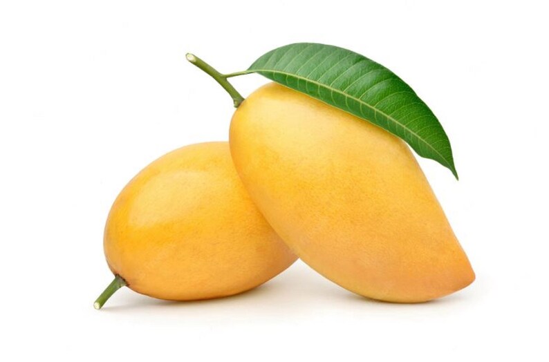 3 Honey Mango Seeds, the Sweetest Mango Ever Etsy