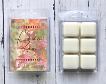 Autumn Rain | Soy Wax Melts | 2.5 oz