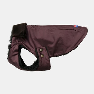 Winter Dog Coat Waterproof Luxury Ecofriendly Made of France Jeanne Special Chihuahua, Dachshund