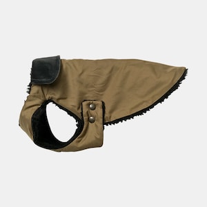 Chihuahua Winter Coat Waterproof Luxury Ecofriendly Made of France Jeanne Special Chihuahua, Dachshund