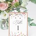 Wildflower Wedding Table Numbers, Summer Spring Wedding Table Sign ...