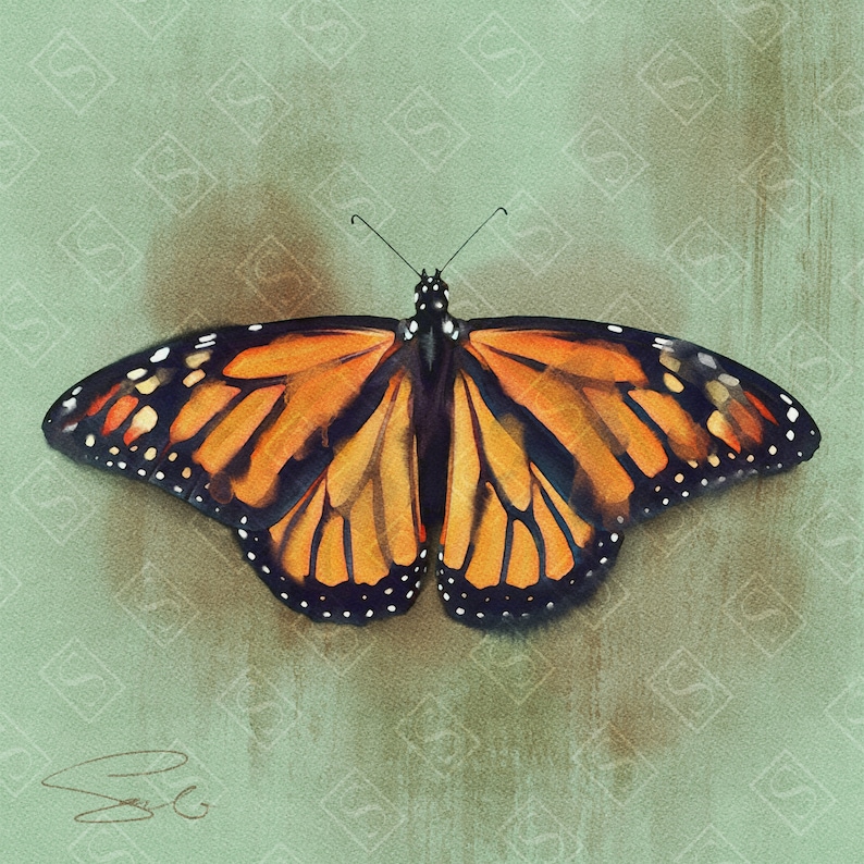 Physical Print Butterfly Monarch Watercolor
