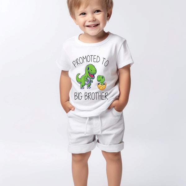 Big Brother Shirt, Dinosaur Egg Shirt, Pregnancy Reveal Shirt, Baby Announcement Shirt, Big Brother Toddler Shirt, Baby Shower Gift