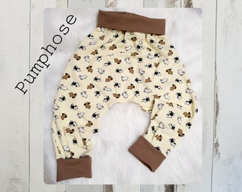 Bloomers French bulldog, trousers