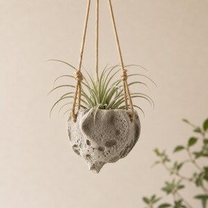 May include: A grey, porous, cratered stone-like hanging planter suspended by three thin tan ropes. The planter holds a spiky, light green air plant with thin, curved leaves extending outward from the center of the textured, rock-like vessel.