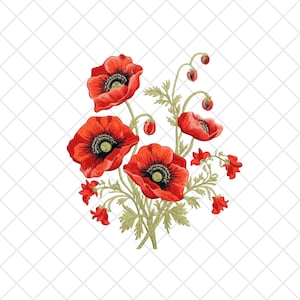 Poppy Cottage Core png, Whimsigoth, Embroidery Style Blumen Tshirt Design, botanisch, Naturliebhaber Geschenk, Goblincore, Witchy