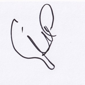 Football - David Silva - Handsignierte 15,5x10,5 cm weiße Karte - Manchester City - Spanien - COA