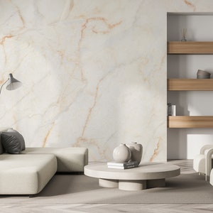 Beige & brown marble wallpaper, concrete wall mural, stone print [Peel and Stick (self adhesive) or Traditional Vinyl Papers]