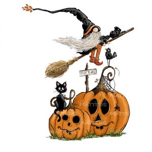 Time to fly Gnome Witch  - Hand Painted - PNG - Sublimation - Halloween