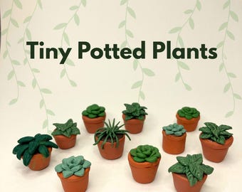 May include: A selection of tiny potted plants, each featuring a different succulent design. The plants are housed in small, terracotta-coloured pots. The background is a light colour with a leafy vine pattern, and the text "Tiny Potted Plants" is displayed.