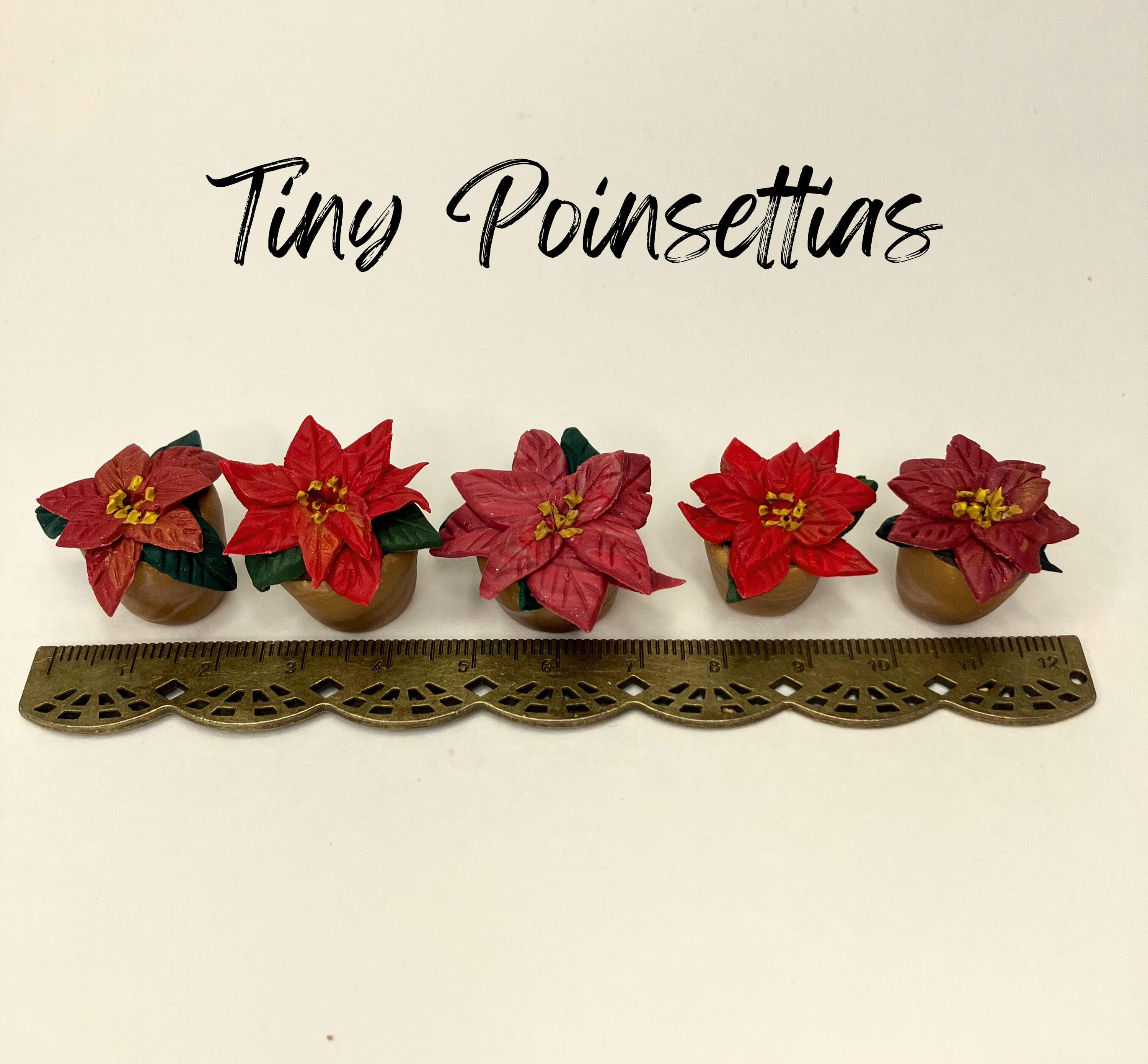 Mini weihnachtsstern - Etsy.de