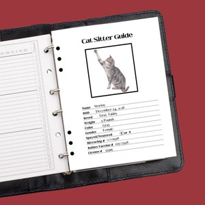 Cat Sitter Guide, Cat Sitting Care, Feline Sitter Notes, Pet Sitting Guide, Veterinary Form, Pet Information Form
