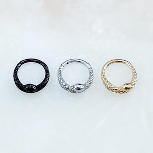 May include: Three snake-shaped hoop earrings in black, silver, and gold.