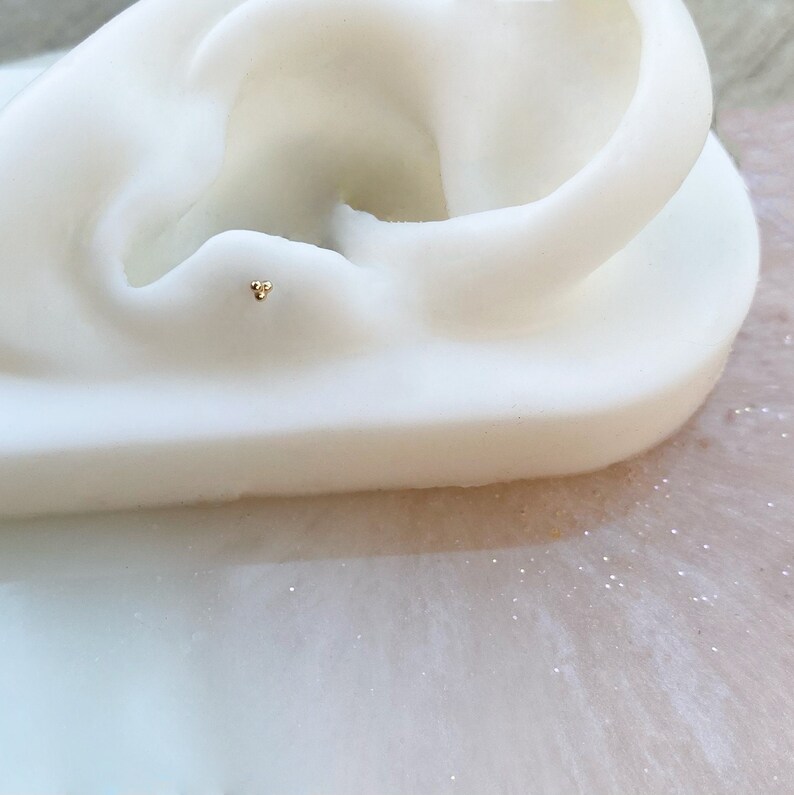 May include: A close-up of a small gold stud earring in a white earlobe model.