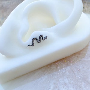 Zilveren slangenslanglabret. Titanium van implantaatkwaliteit. Draadloos. Voor neus-, tragus-, kraakbeen-, helix-, platte en lobpiercings.