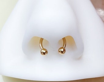 Gold Ball Horseshoe for Septum, Daith, or Cartilage. 18G, 16G, or 14G. 8mm or 10mm.