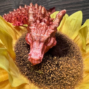 Flexi Dragon articulé