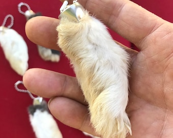 GENUINE One (1) Real Lucky Rabbit’s Foot Keychain