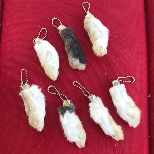 GENUINE Real Lucky Rabbits Foot Keychain Set of 3 Etsy
