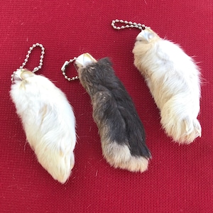 GENUINE Real Lucky Rabbit’s Foot Keychain set of 3