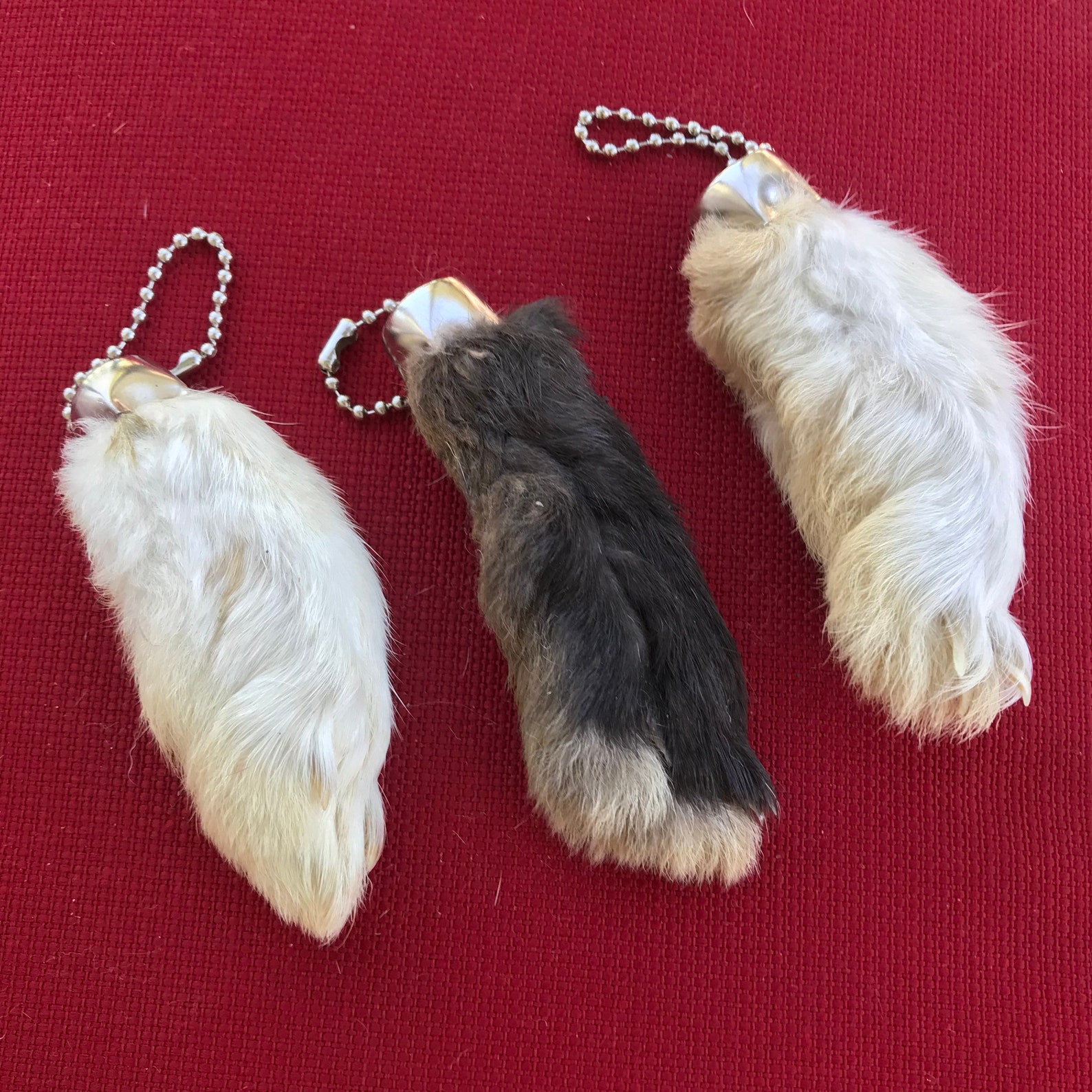 GENUINE Real Lucky Rabbits Foot Keychain set of 3 Etsy