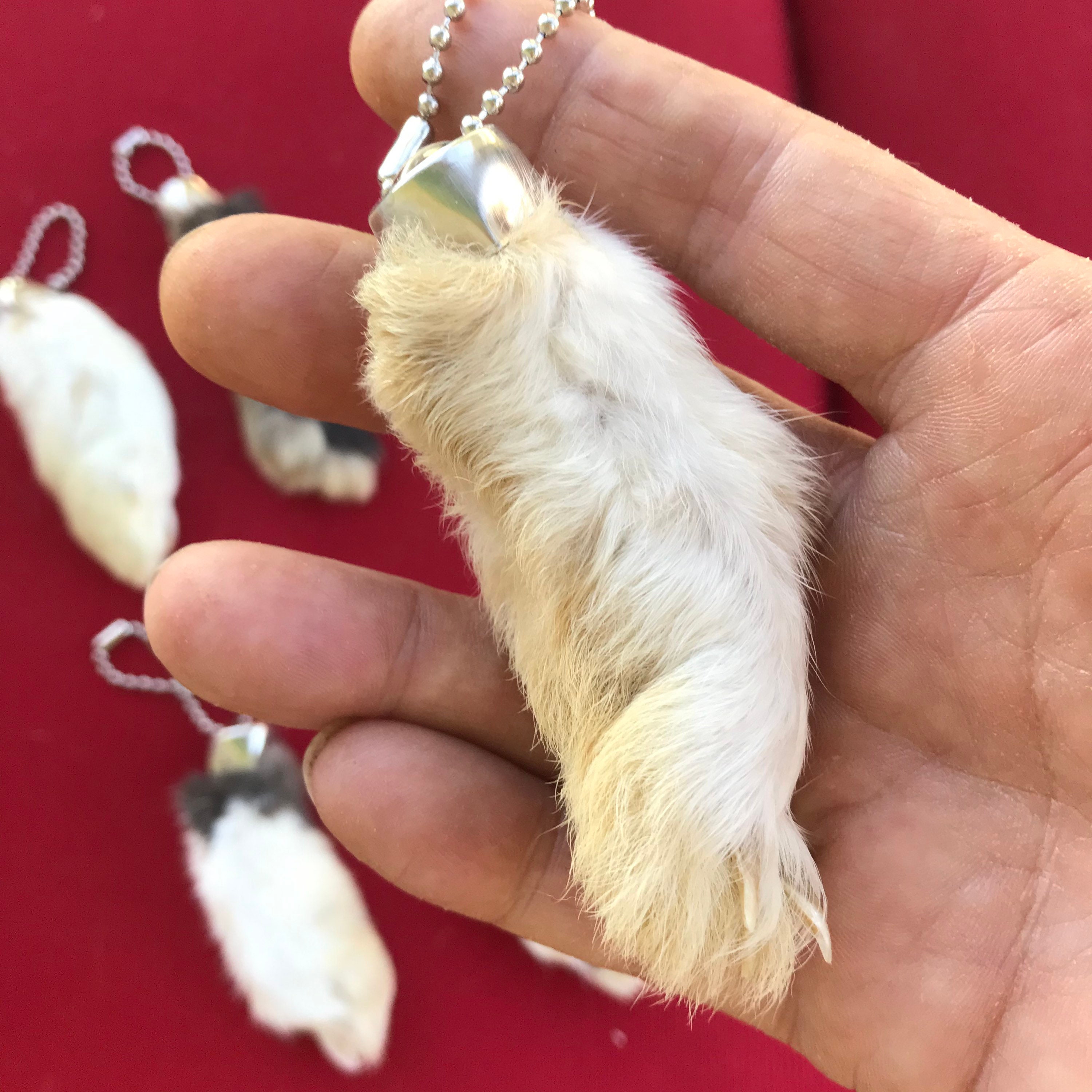 Rabbit foot shop keychain supplies