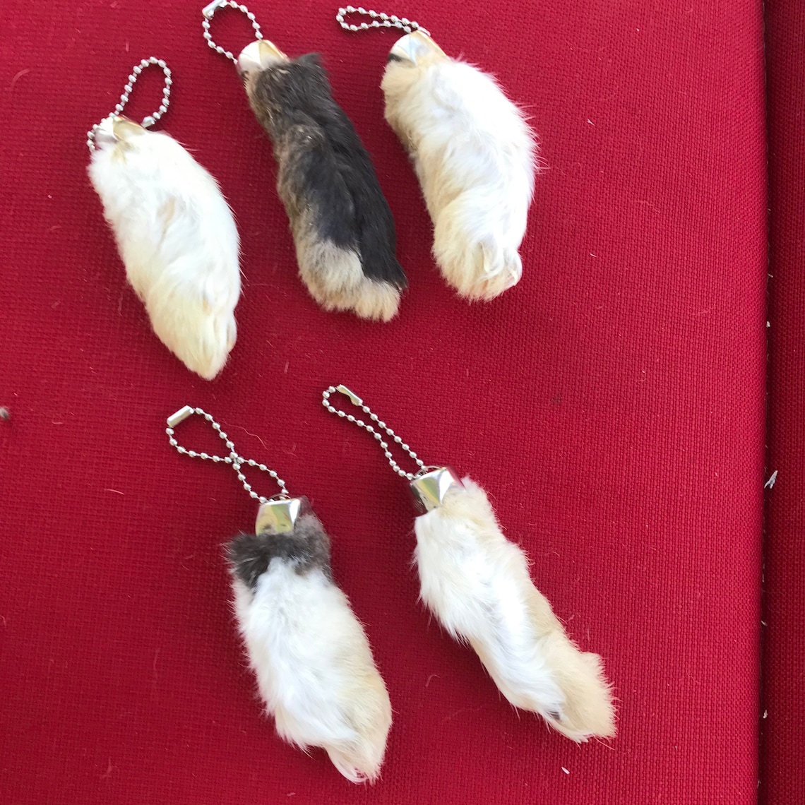 GENUINE Real Lucky Rabbits Foot Keychain Set of 5 Etsy