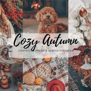 10 Fall Presets, Autumn Presets, Desktop Presets, Mobile Presets, Iphone Presets, Warm Outdoor Presets, Instagram Presets, Halloween presets