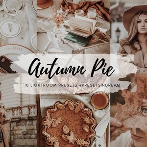 10 Fall Presets, Autumn Presets, Desktop Presets, Mobile Presets, Iphone Presets, Warm Outdoor Presets, Instagram Presets, Halloween presets